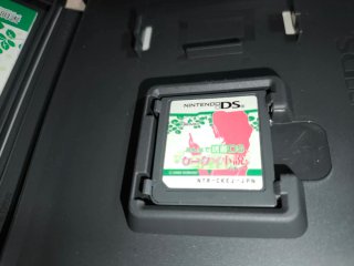 Minna de Dokusho: Keitai Shousetsu DS