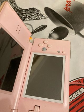 Nintendo DS Rosa + Gioco Hamsterz