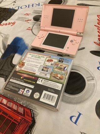Nintendo DS Rosa + Gioco Hamsterz