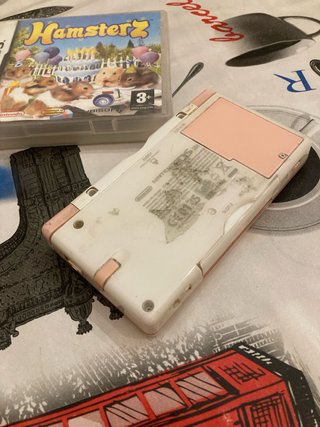 Nintendo DS Rosa + Gioco Hamsterz
