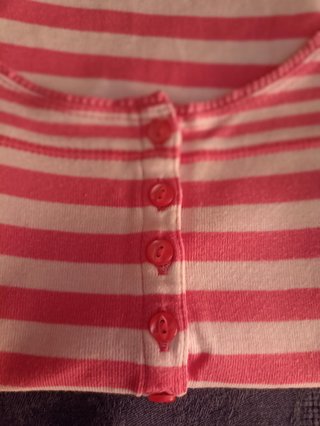 Camiseta Gant Rayas