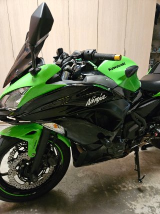 Kawasaki Ninja 650r
