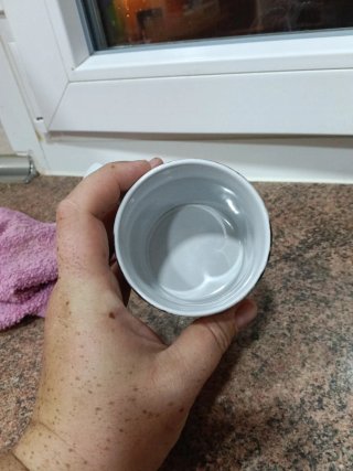 Taza The Promised Neverland Anime