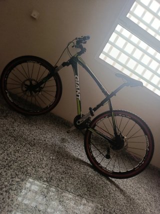 Bicicleta de Montaña Giant Revel