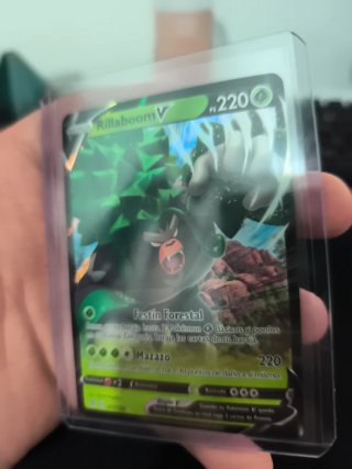 Rillaboom V 17/192 Carta Pokémon