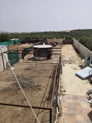 Terreno rústico a 3km de Morón