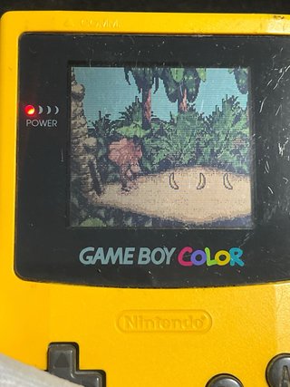 Donkey Kong Country Game Boy Color