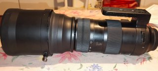 Sigma 150-600mm f5-6.3 DG OS HSM Sport
