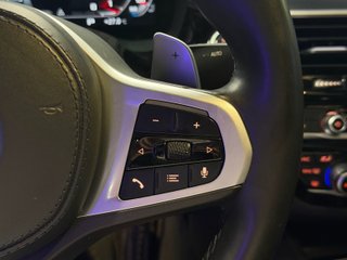 BMW Serie 5 530iA xDrive