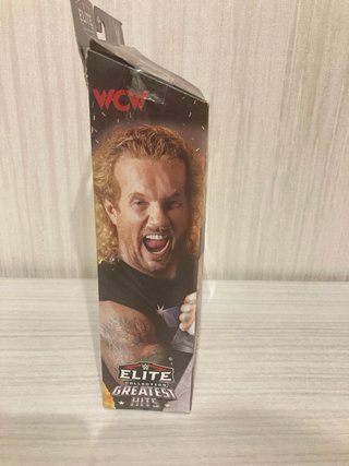 Action Figure WWE Diamond Dallas Page