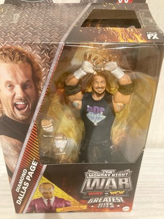 Action Figure WWE Diamond Dallas Page