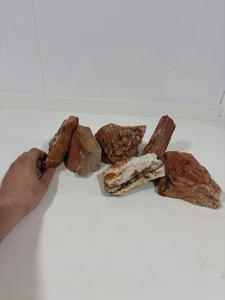 Roca natural sequoia para acuario