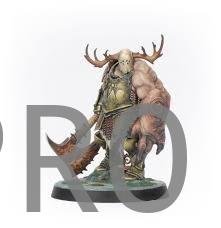 Warhammer Quest: Aguaoscura