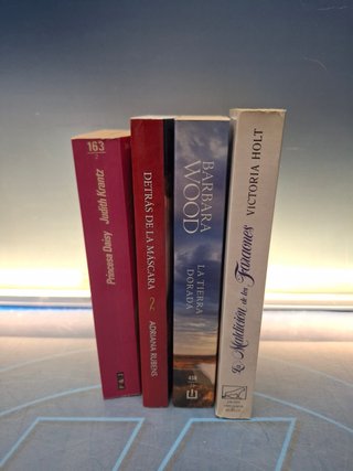 Lote 4 Libros Barbara wood y mas autores de novela romántica