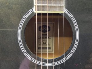 guitarra acustica ashton premium acoustics