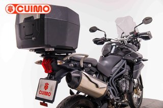 TRIUMPH TIGER 800 XC