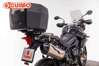 TRIUMPH TIGER 800 XC