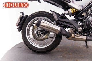 BENELLI LEONCINO 500
