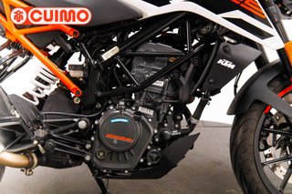 KTM 125 DUKE