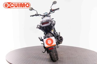 BENELLI LEONCINO 500