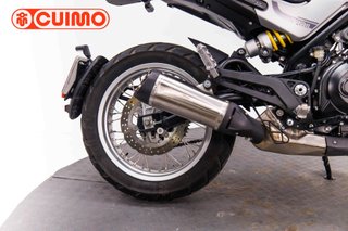 BENELLI LEONCINO 500