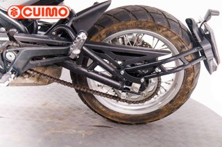 BENELLI LEONCINO 500