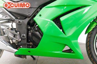 KAWASAKI NINJA 250 R