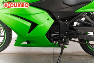 KAWASAKI NINJA 250 R