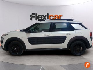 Citroën C4 Cactus BlueHDi 73KW (100CV) Airdream Business