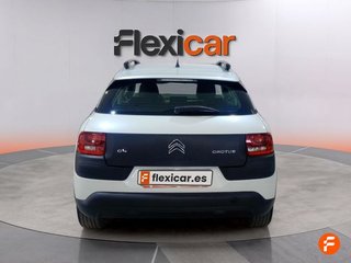 Citroën C4 Cactus BlueHDi 73KW (100CV) Airdream Business