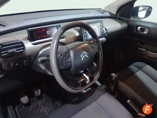 Citroën C4 Cactus BlueHDi 73KW (100CV) Airdream Business