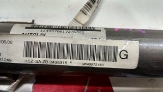 9646572180 AIRBAG CORTINA IZQUIERDO / IZQUIERDA CITROEN C4 1ª GENER. 2004-2005-2006-2007-2008-2009-2010 (L desde 04)