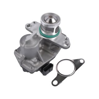 Bisenya válvula EGR recambio motor diesel
