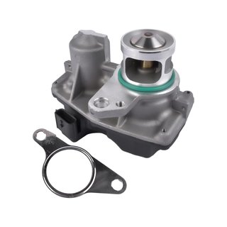 Bisenya válvula EGR recambio motor diesel