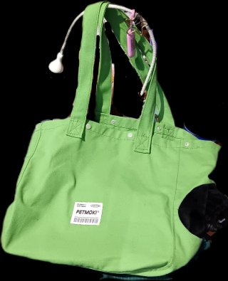 Transportín verde para mascotas