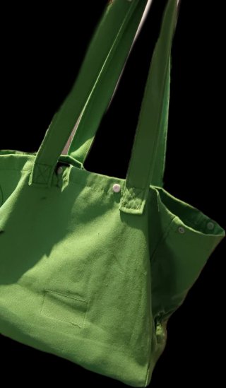 Transportín verde para mascotas