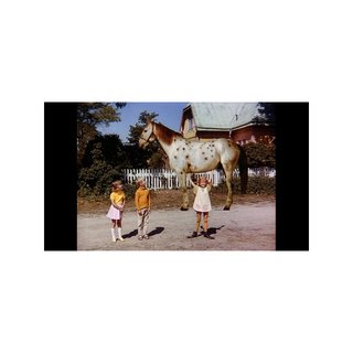 Pippi Langstrumpf película colección DVD infantil
