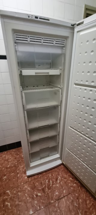 Congelador vertical No Frost