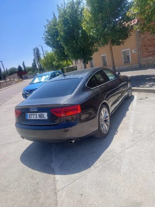 Audi Q5 2013