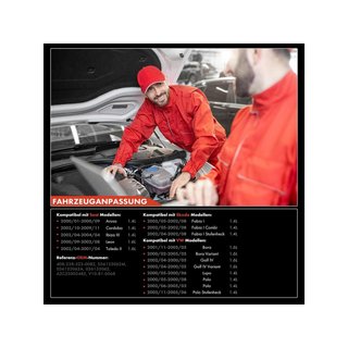 Frankberg válvula acelerador compatible motor