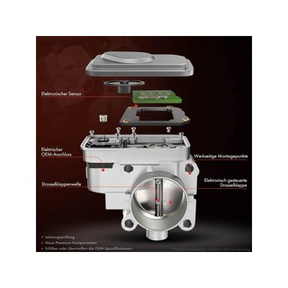 Frankberg válvula acelerador compatible motor