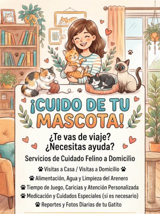 Servicio de cuidados felinos a domicilio