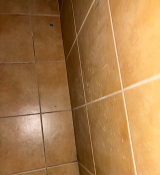 Local comercial 460mtr2º ideal para inversores