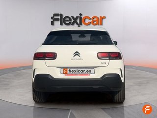Citroën C4 Cactus PureTech 110 S&S Shine Pack