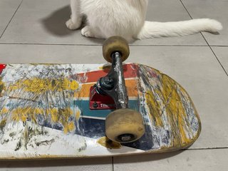Skate profesional muy buen estado