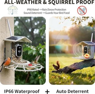 Origem Comedero Pajaros Exterior Camara Solar 1,7l