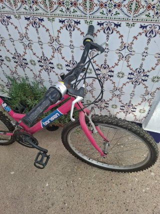 Bicicleta niña rosa Borisan.