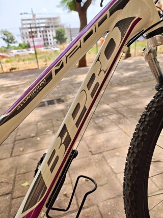 Bicicleta B-PRO M200