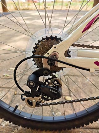 Bicicleta B-PRO M200
