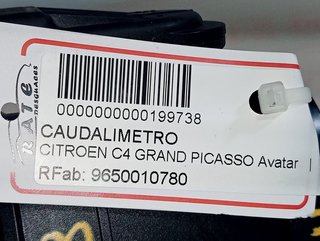 CAUDALIMETRO CITROEN C4 GRAND PICASSO Avatar